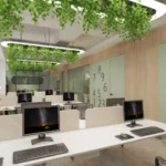 ops concept bashan tarim 3