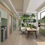 ops concept bashan tarim 6