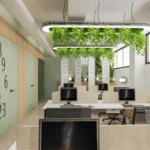 ops concept bashan tarim 8